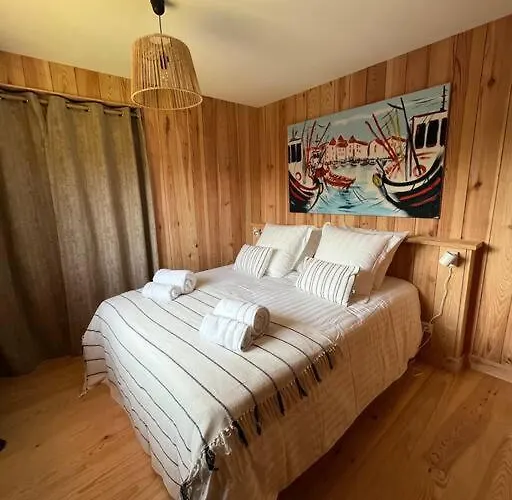 Villa Noa Neuve- Piscine Chauffee Saint-Julien-en-Born